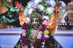 Daily Darshan