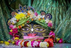 Daily Darshan
