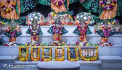 Daily Darshan