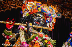 Daily Darshan
