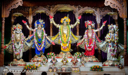 Daily Darshan