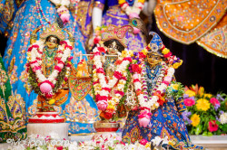 Daily Darshan