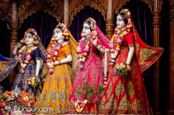 Daily Darshan