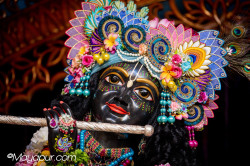 Daily Darshan