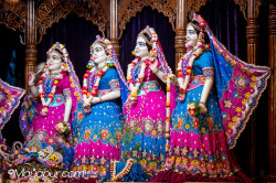 Daily Darshan