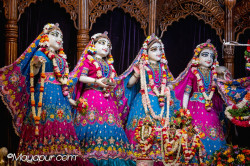 Daily Darshan