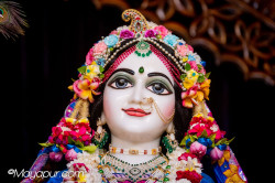 Daily Darshan