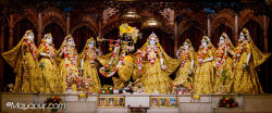 Daily Darshan