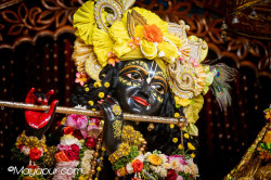 Daily Darshan