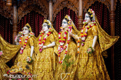 Daily Darshan