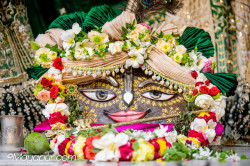 Daily Darshan