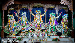 Daily Darshan