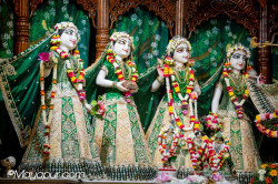 Daily Darshan