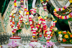 Daily Darshan