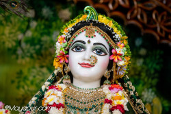 Daily Darshan