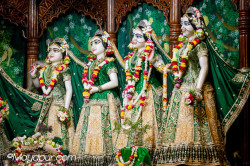 Daily Darshan