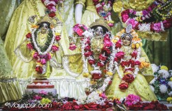 Daily Darshan