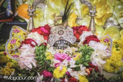 Daily Darshan