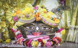 Daily Darshan