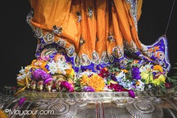 Daily Darshan