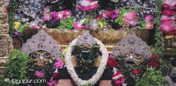 Daily Darshan