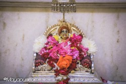 Daily Darshan