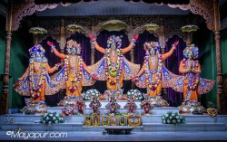 Daily Darshan