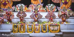 Daily Darshan