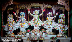 Daily Darshan