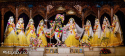 Daily Darshan