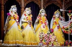 Daily Darshan