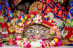 Daily Darshan