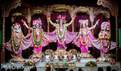 Daily Darshan