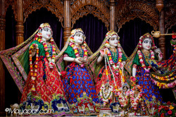 Daily Darshan