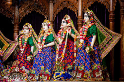 Daily Darshan