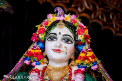 Daily Darshan