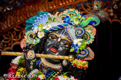 Daily Darshan