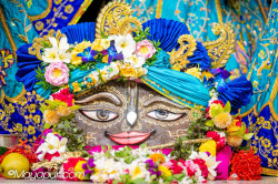 Daily Darshan
