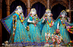 Daily Darshan
