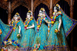 Daily Darshan