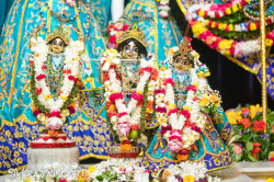 Daily Darshan