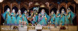 Daily Darshan