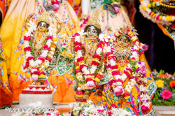 Daily Darshan