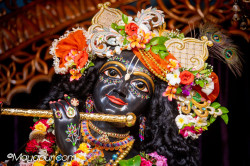 Daily Darshan