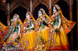 Daily Darshan