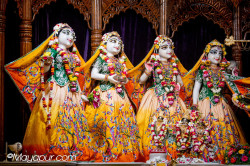 Daily Darshan