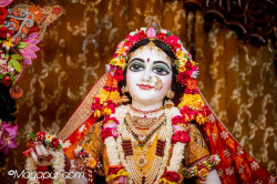 Daily Darshan