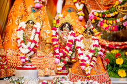 Daily Darshan