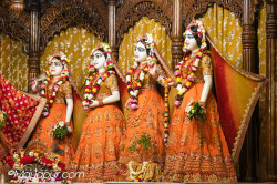 Daily Darshan