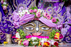 Daily Darshan